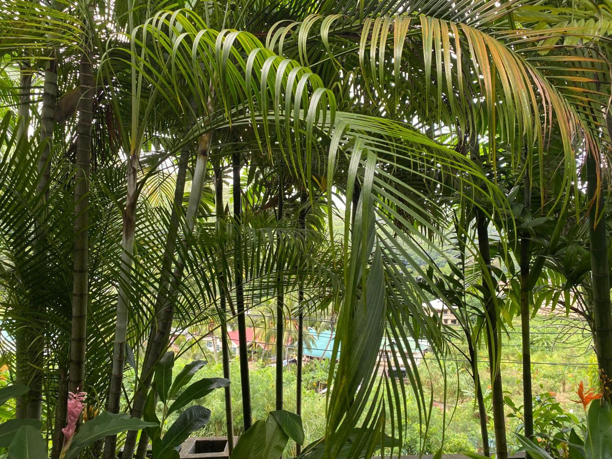 Stephna Residence Anse Boileau Екстериор снимка